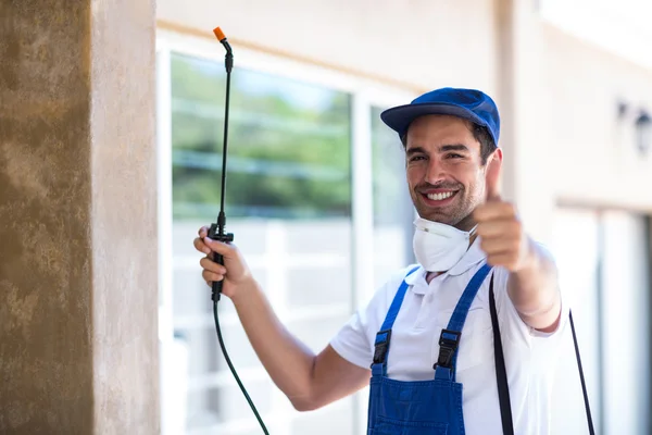 Santa Fe Springs Wasp Removal