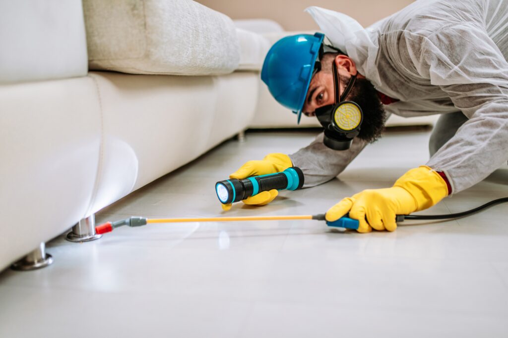 Santa Fe Springs Termite Control