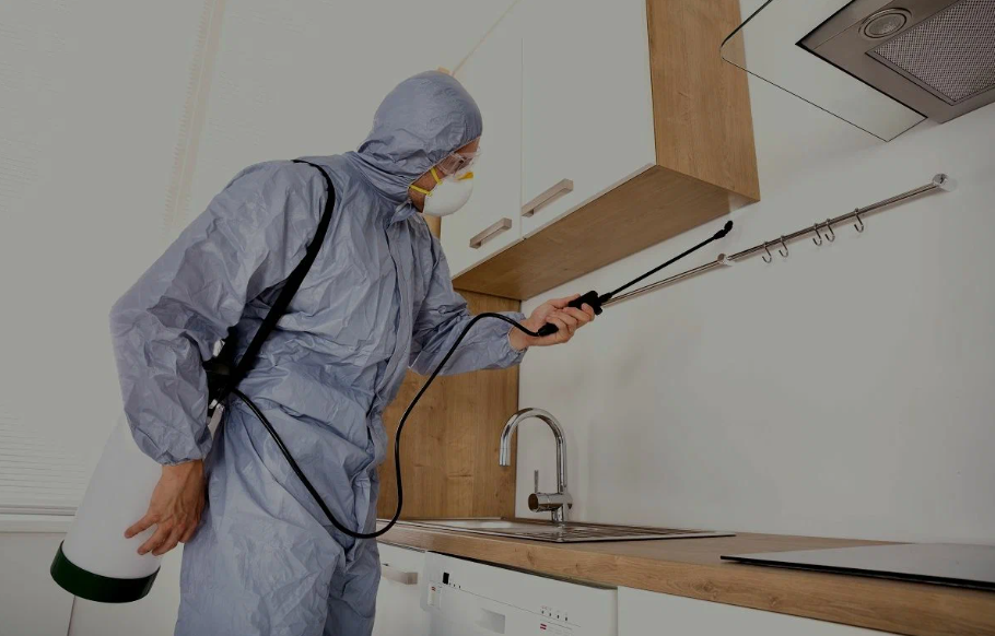 Santa Fe Springs pest managment